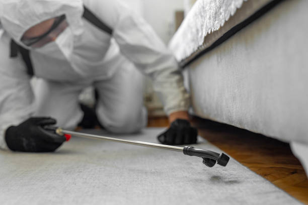 Professional Termite Control technician working in Bainbridge, OH