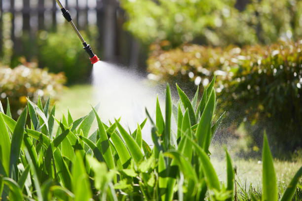 24/7 Emergency Termite Control experts in Bainbridge, OH