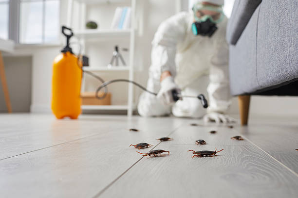 Trusted Cockroach Control service in Bainbridge, OH - Nex Pest Control