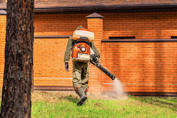 Trusted Bed Bug Control service in Bainbridge, OH - Nex Pest Control